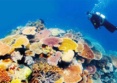 Great Barrier Reef A Natural Wonder of World - Fun Facts