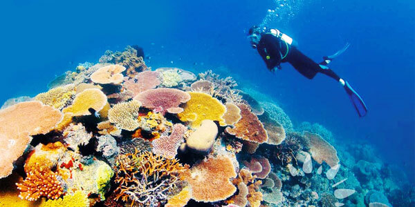 Great Barrier Reef Natural Wonder of World