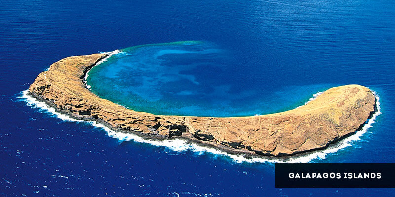 Why are the Galapagos Islands famous?