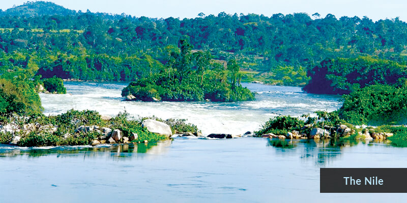 Rivers in Africa - Nile River