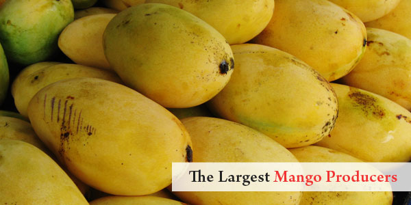 Asian Facts - The Largest Mango Producers
