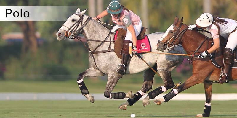 Sports in Asia - Polo