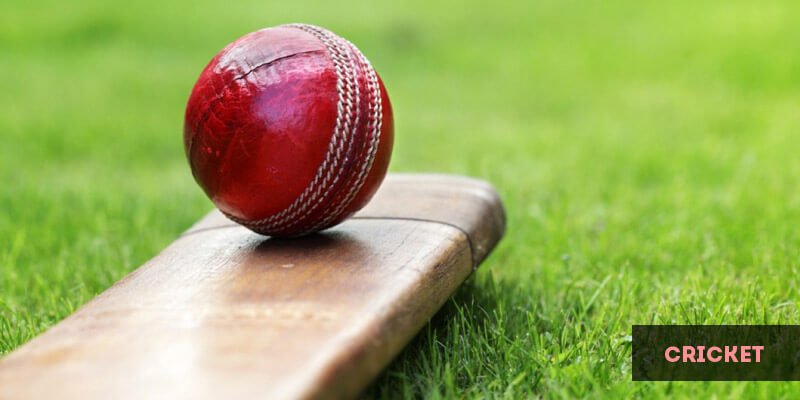 Popular Sports in Europe - Cricket