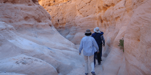 Exploring the Sinai Peninsula