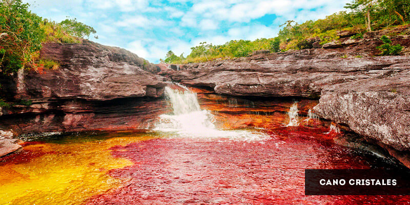 Famous Places to Visit in South America - Cano Cristales
